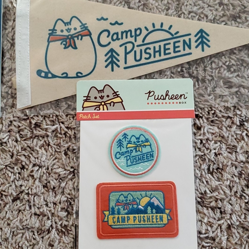 Pusheen pennant flag and patch set